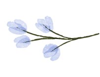 разделитель